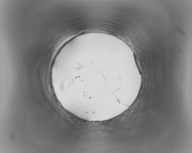 X0000115840289200912111339