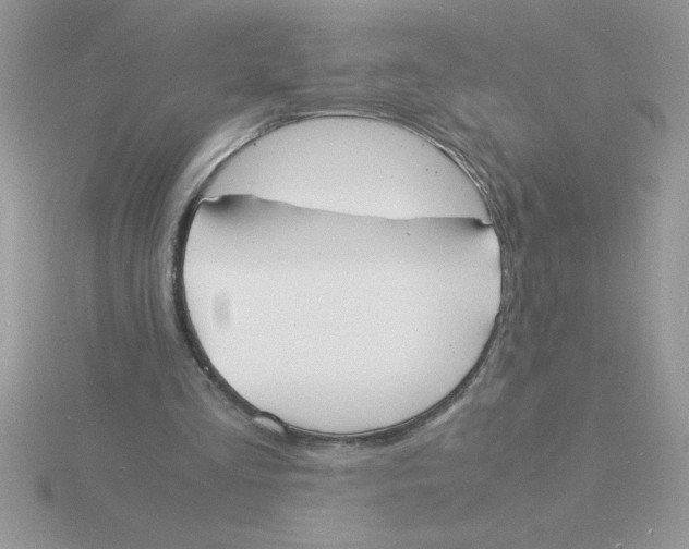 X0000115840293200912111339