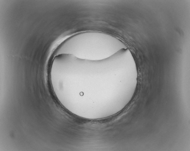 X0000115840294200912111339