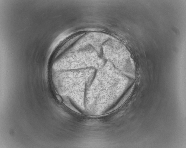 X0000115840296200912111339