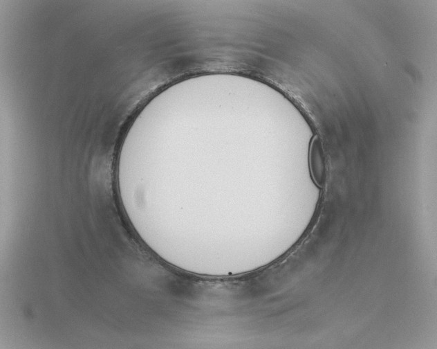 X0000115840297200912111339