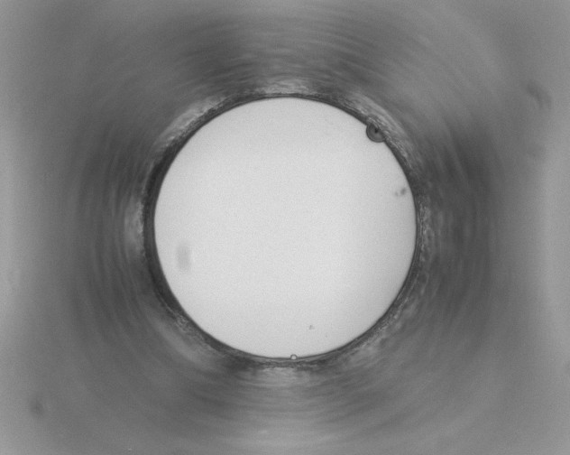 X0000115840298200912111339