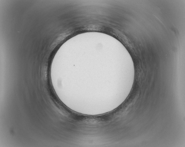 X0000115840299200912111338