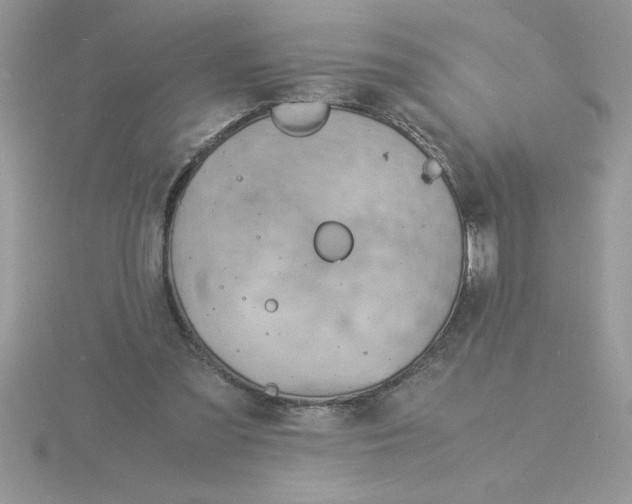 X0000115840301200912111338