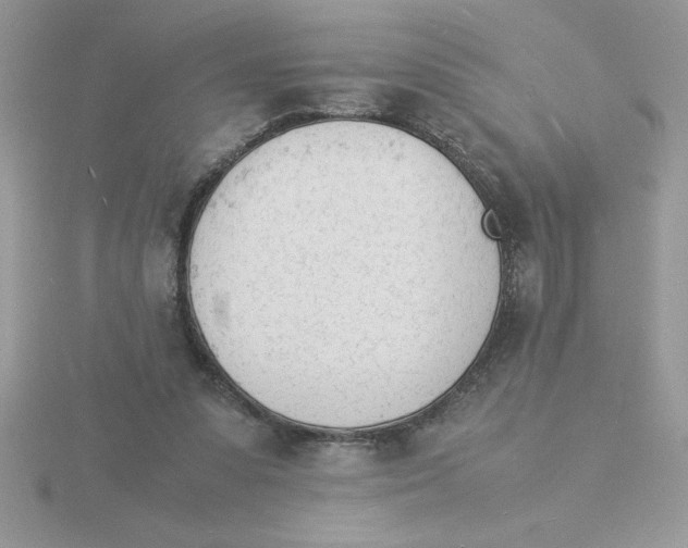 X0000115840303200912111338