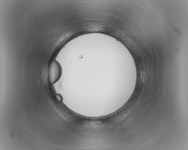 X0000115840304200912111338