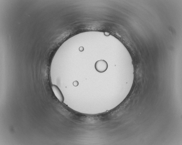 X0000115840305200912111338