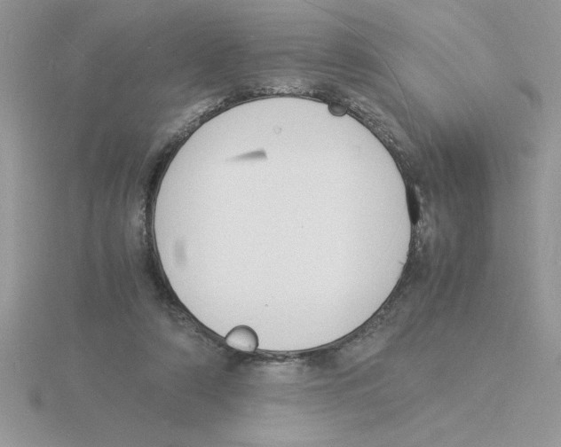 X0000115840306200912111338