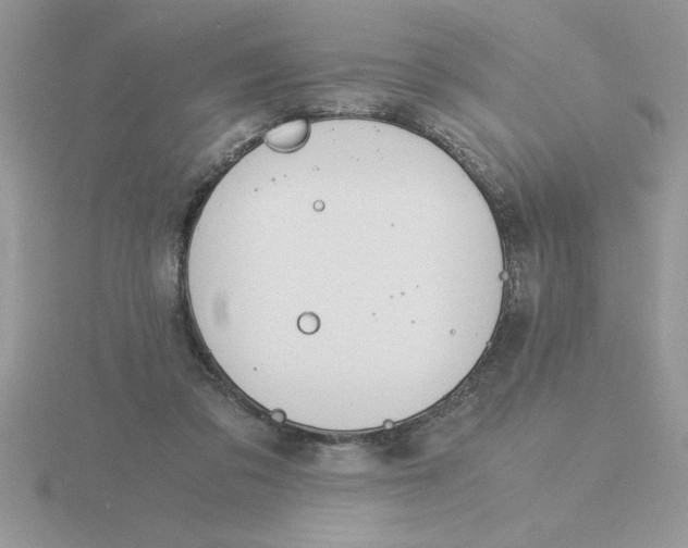 X0000115840309200912111338