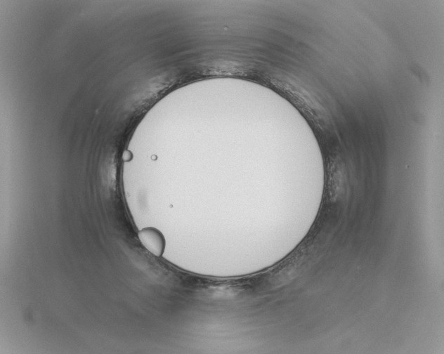 X0000115840310200912111338