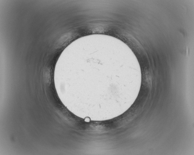 X0000115840311200912111338