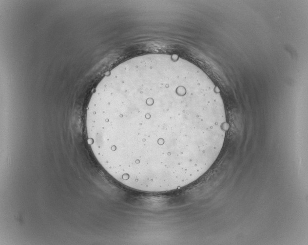 X0000115840313200912111338