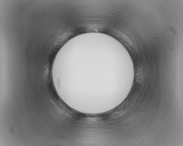 X0000115840314200912111338