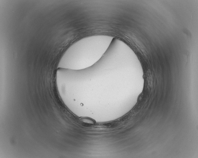 X0000115840316200912111338