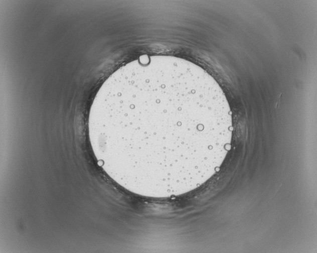 X0000115840317200912111338