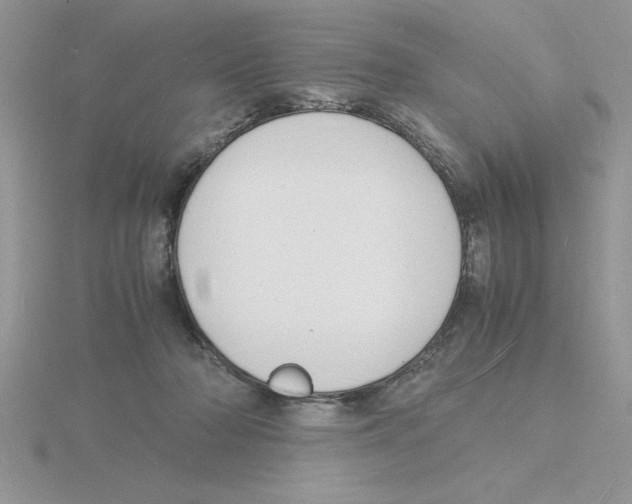 X0000115840318200912111338