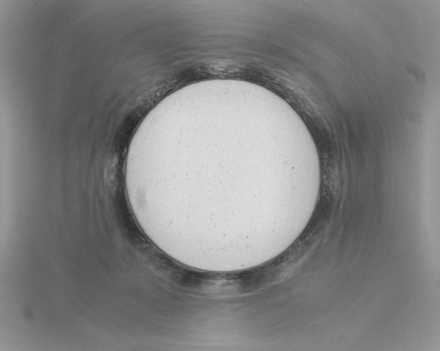 X0000115840319200912111338