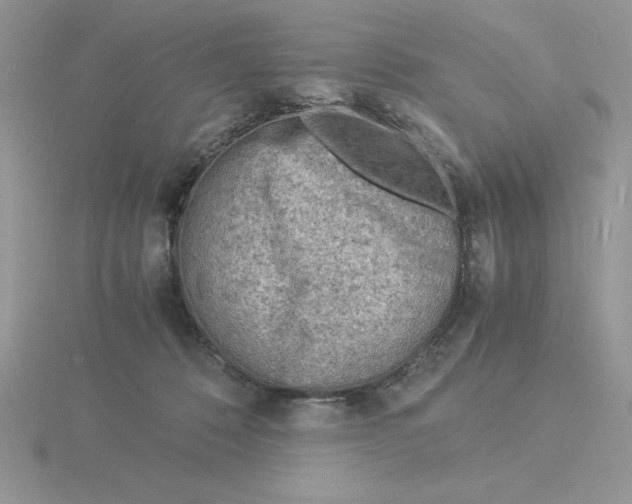 X0000115840320200912111338