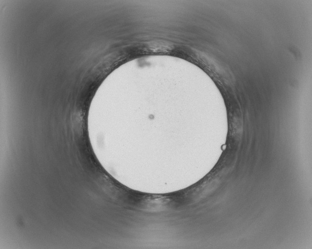 X0000115840321200912111338