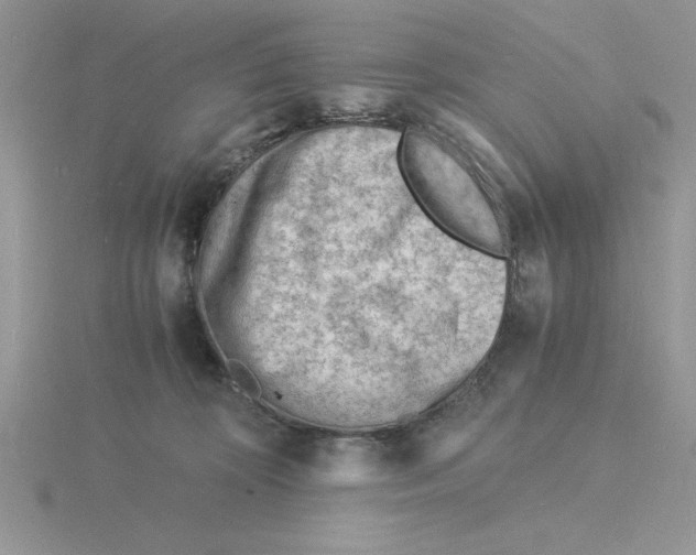 X0000115840324200912111338