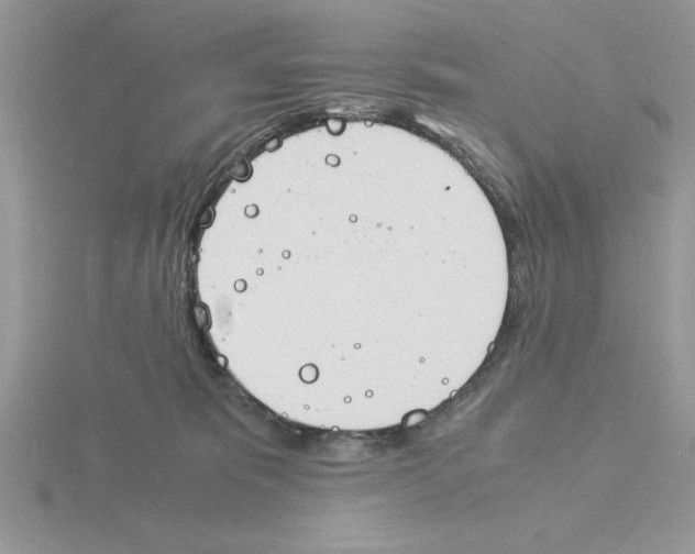 X0000115840325200912111338