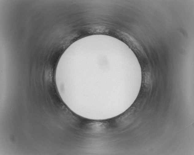 X0000115840326200912111338