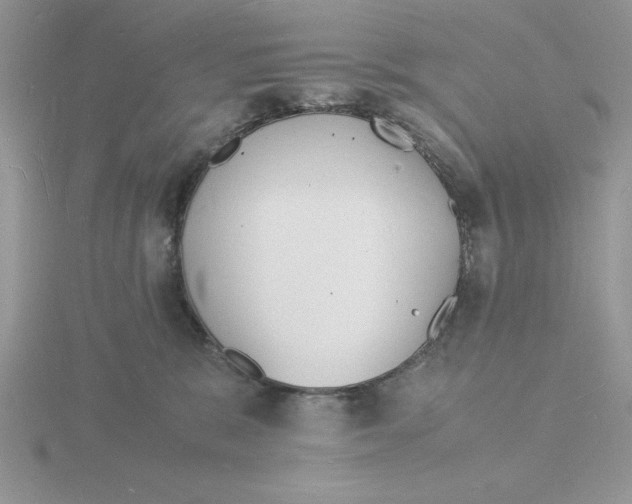 X0000115840327200912111338