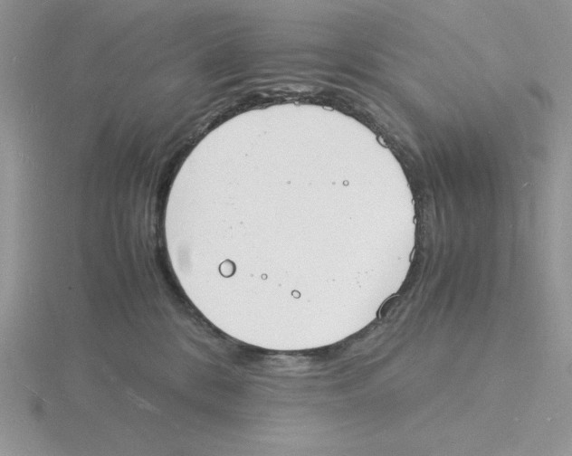 X0000115840328200912111338