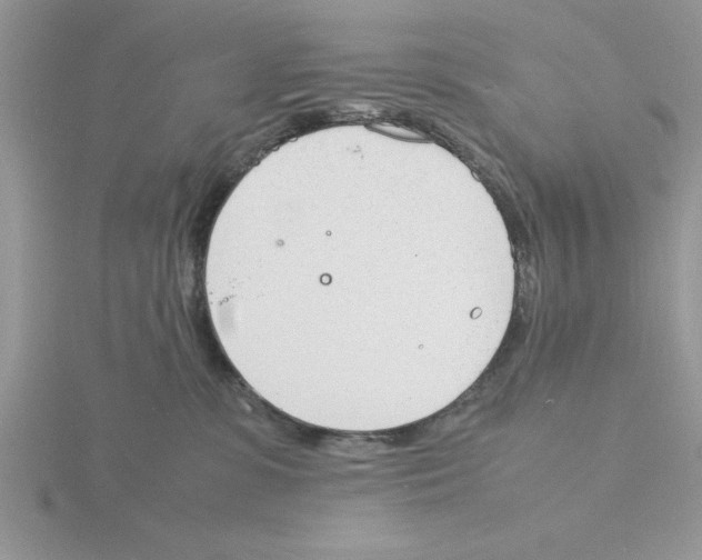 X0000115840331200912111338