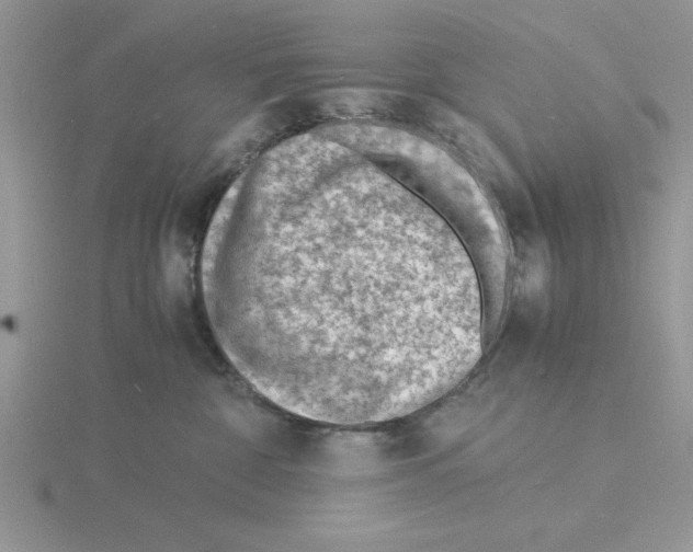 X0000115840332200912111338