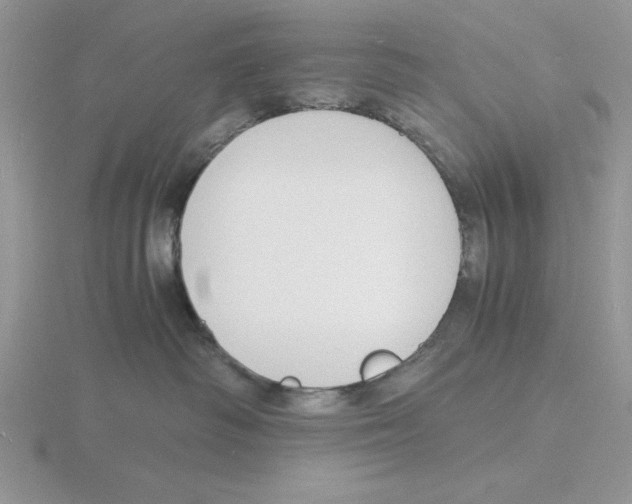 X0000115840334200912111338