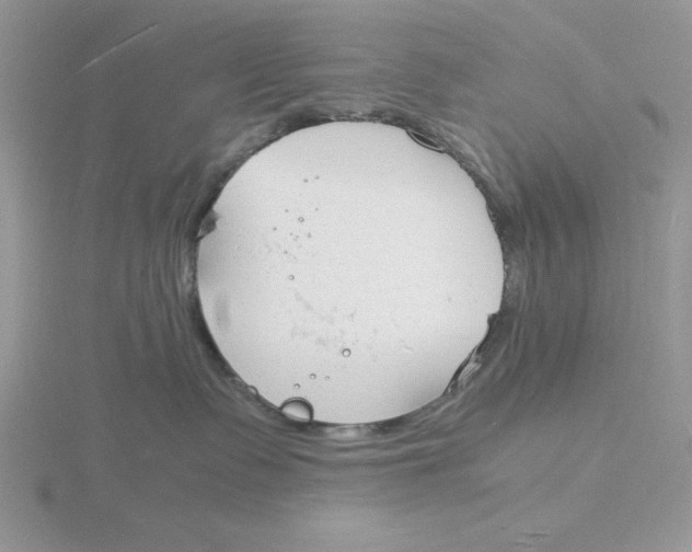 X0000115840335200912111338