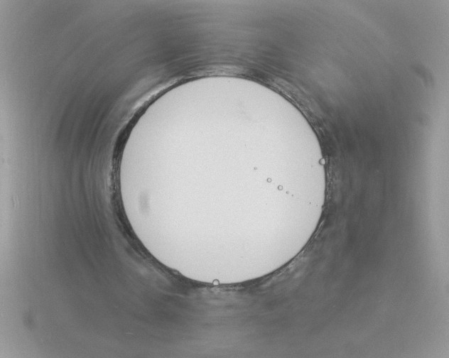 X0000115840338200912111337