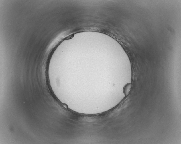 X0000115840341200912111337