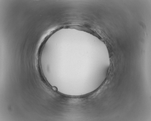 X0000115840342200912111337