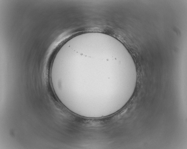 X0000115840343200912111337