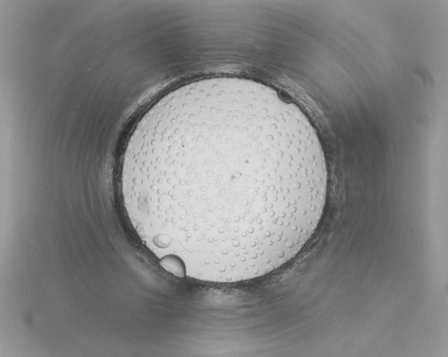 X0000115840346200912111337