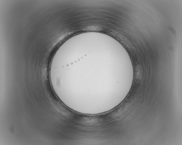 X0000115840351200912111337