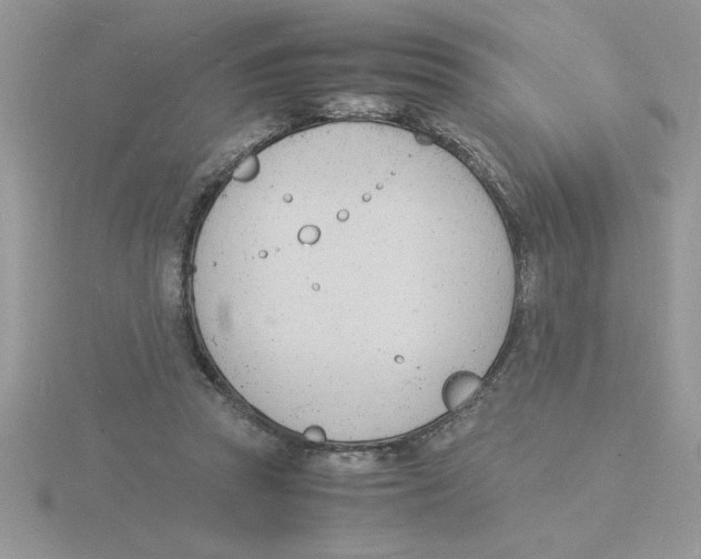 X0000115840353200912111338