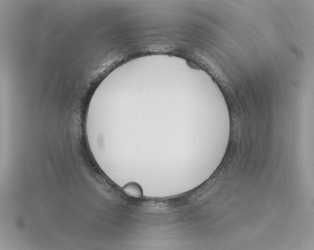 X0000115840354200912111338