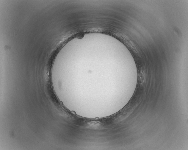 X0000115840355200912111338