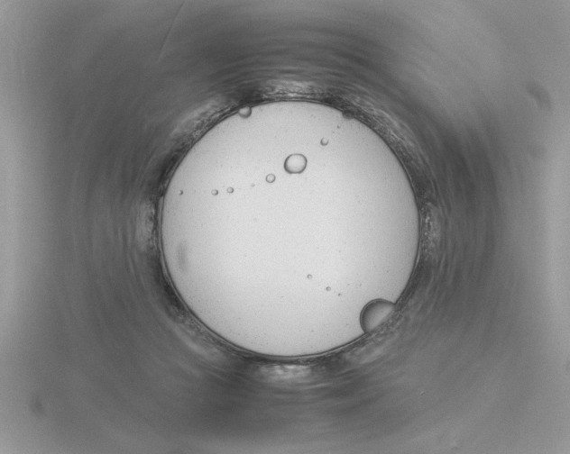 X0000115840361200912111338