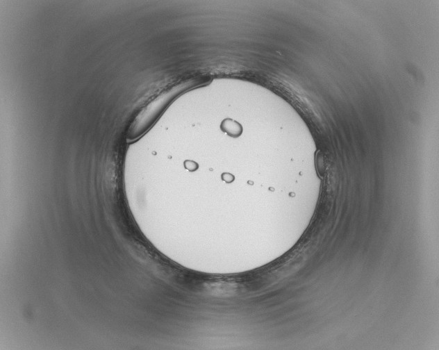 X0000115840362200912111338