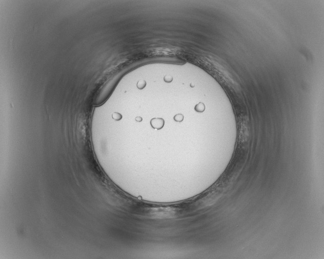 X0000115840363200912111338