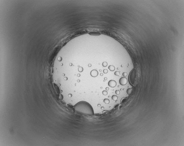 X0000115840367200912111338