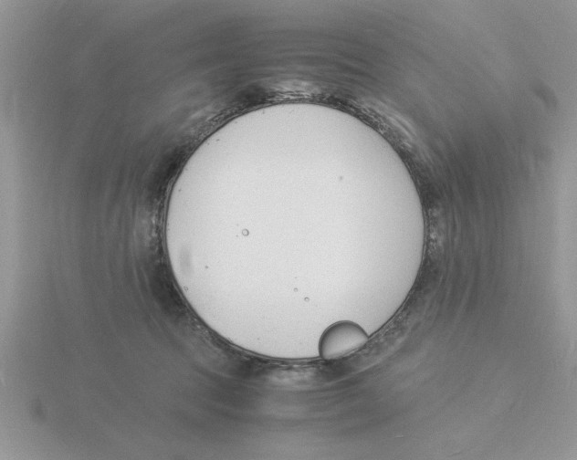 X0000115840369200912111338