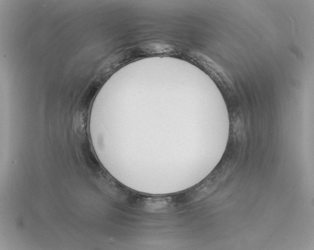 X0000115840373200912111338