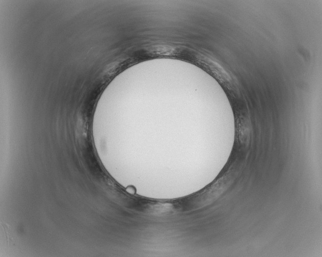 X0000115840374200912111338