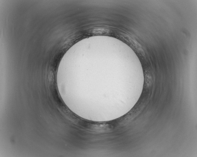 X0000115840375200912111338