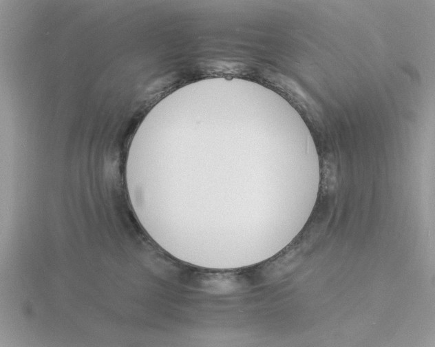 X0000115840377200912111338